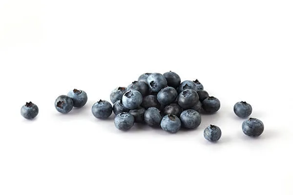 Fresh blueberries, emphasizing their vitamin and antioxidant content for canine health.