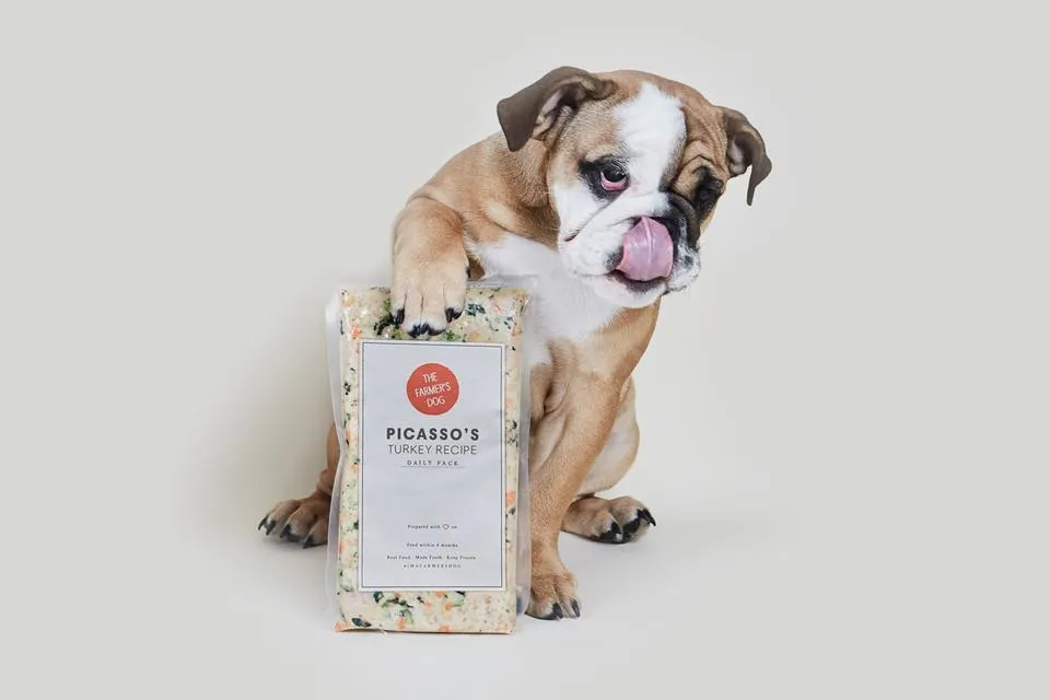 Freshly prepared dog food from The Farmer's Dog, symbolizing a new era in pet nutrition.