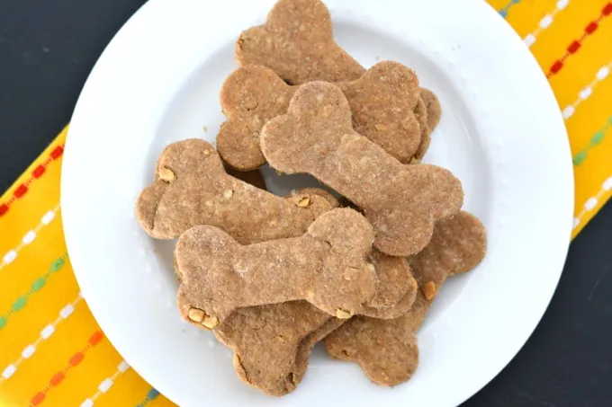 Friendly dog patiently waiting for a homemade peanut butter dog treat