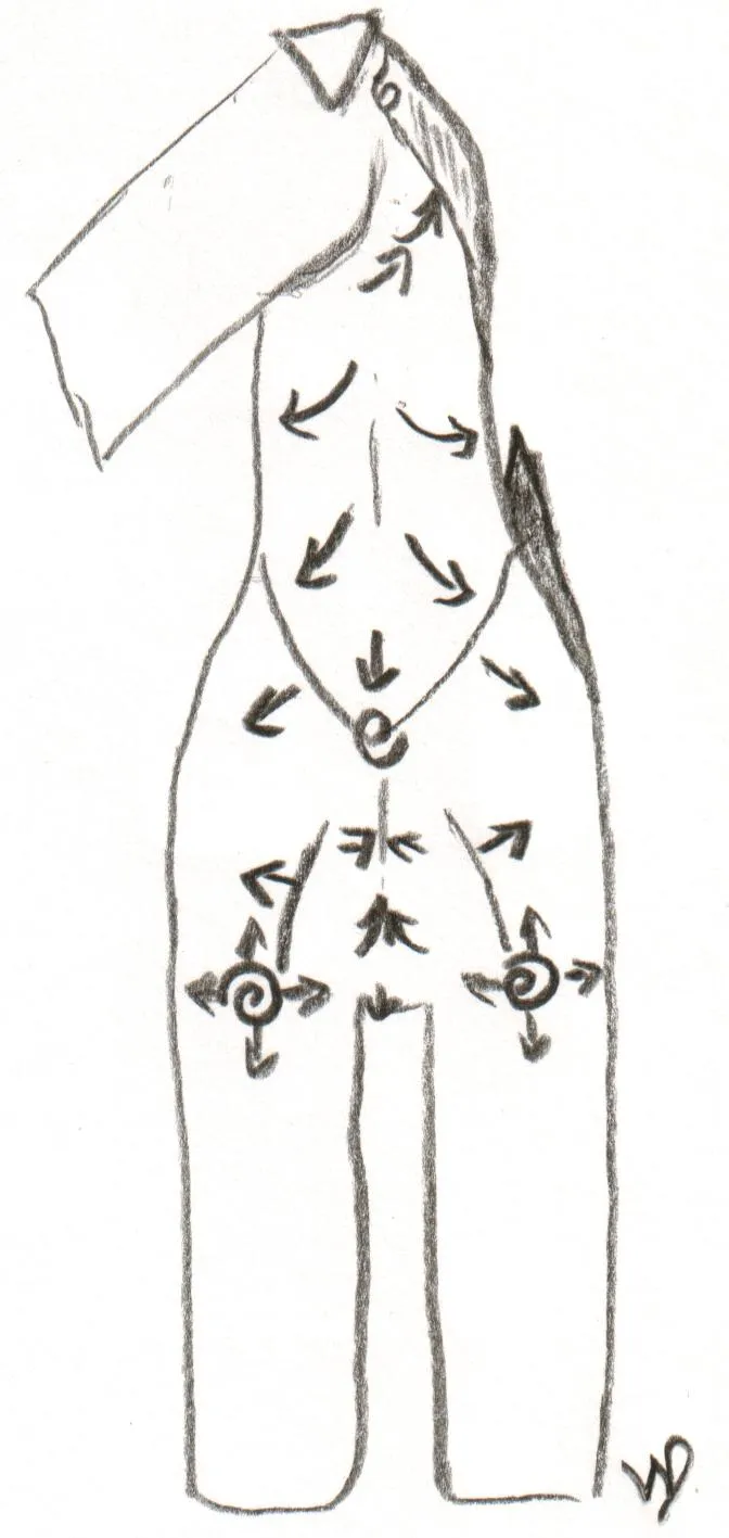 Front view of Airedale Terrier
