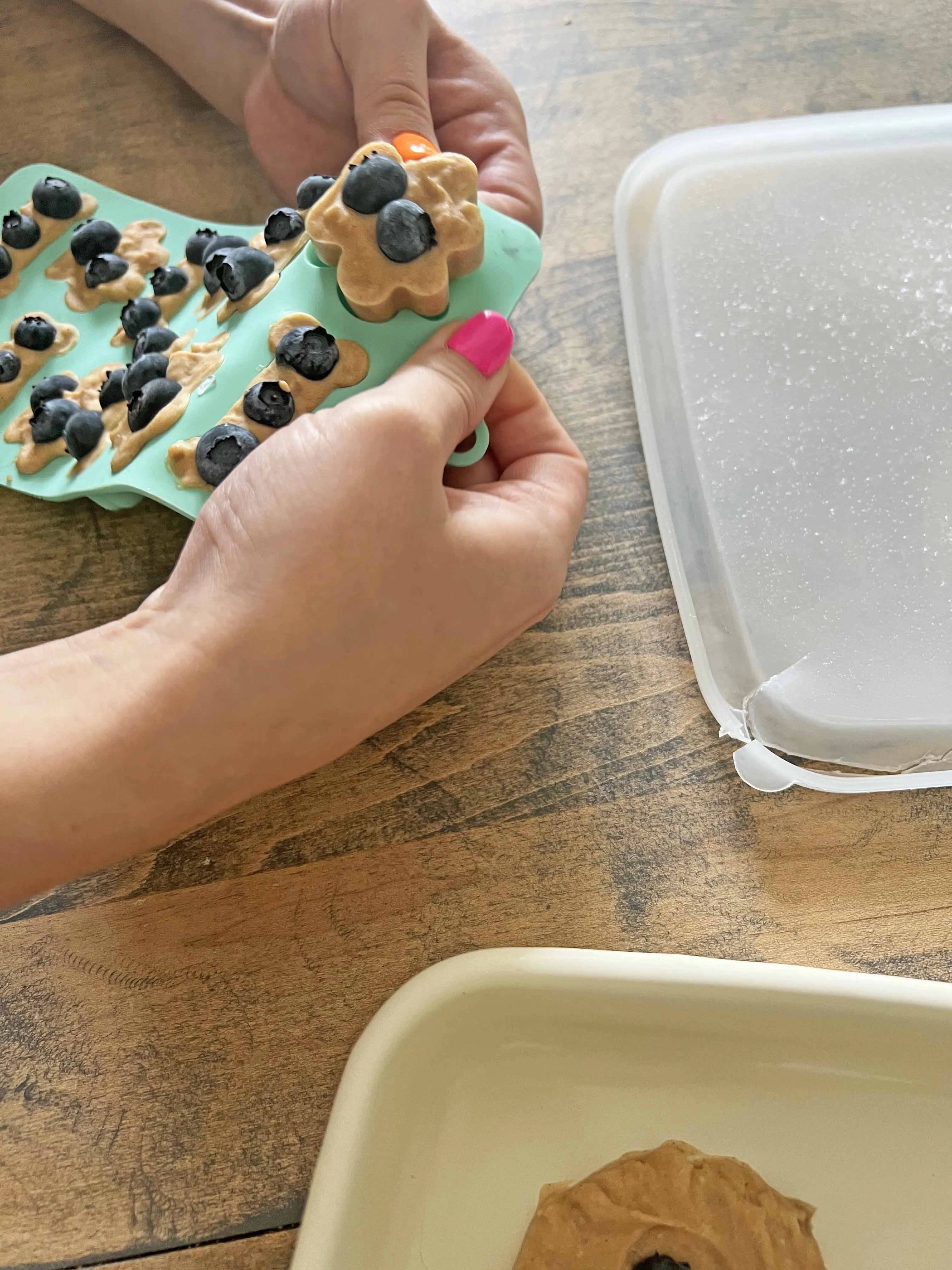 Frozen dog treats ready to be enjoyed