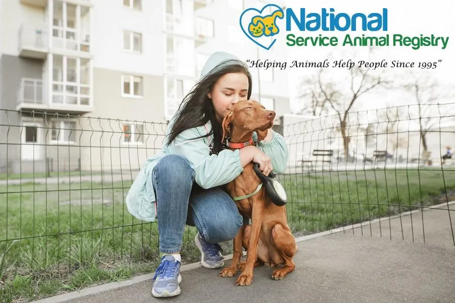 Girl hugging dog on street