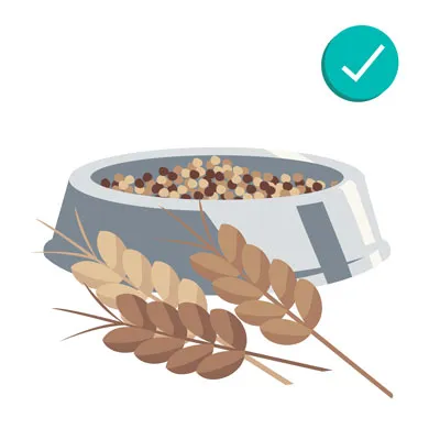 Grains, wheat, and quinoa, safe in small amounts for puppies without allergies