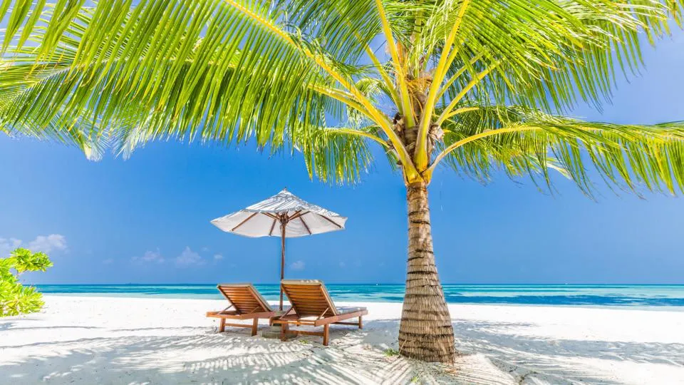 Graphic Best Travel Insurance Companies: Representing the importance of protecting your investments with the right tools.