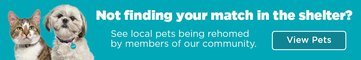 Graphic illustrating pets available for rehoming, emphasizing the opportunity to find a new companion