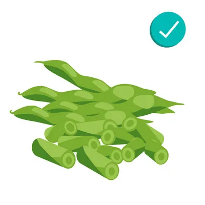 Green beans, a healthy and crunchy vegetable for puppies
