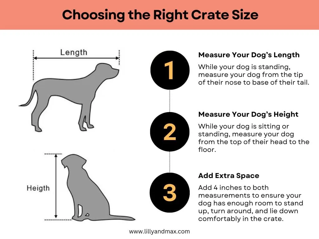 Guide on how to measure your dog to select the best x large heavy duty dog crate size