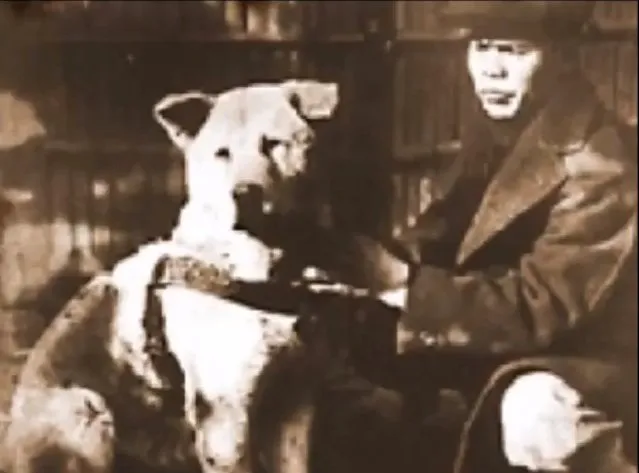 Hachiko and his owner, Professor Ueno, sharing a moment of companionship