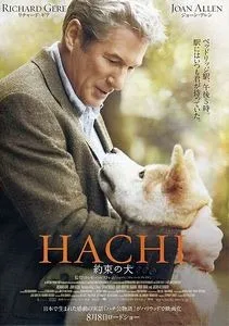 Hachiko the Akita sitting loyally by a train station entrance