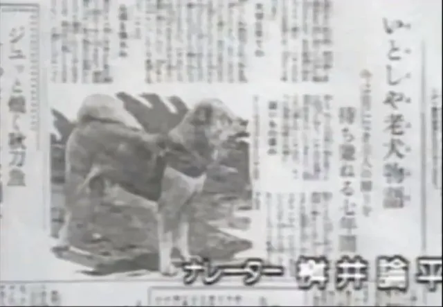 Hachiko's story gaining fame in a Japanese newspaper article