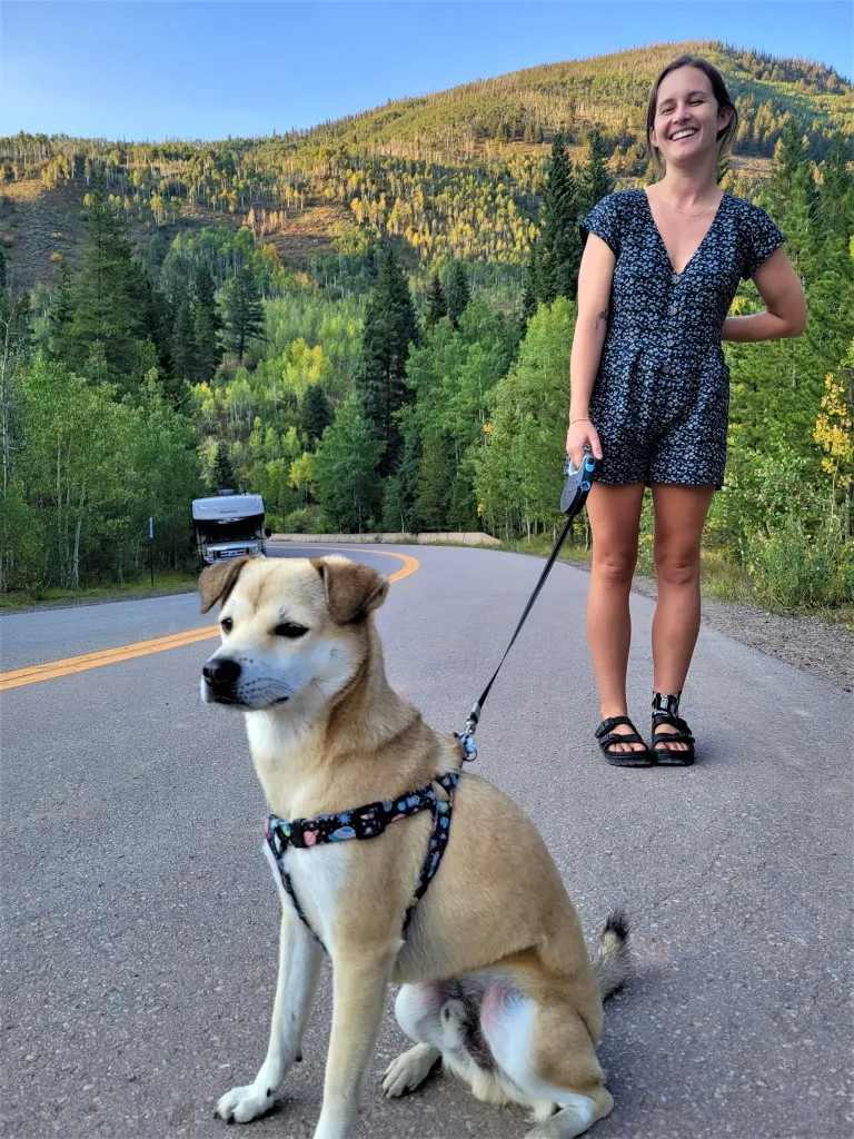 Happy black dog enjoying a leashed walk with a Rover dog walker, showcasing the fun and active nature of the side gig