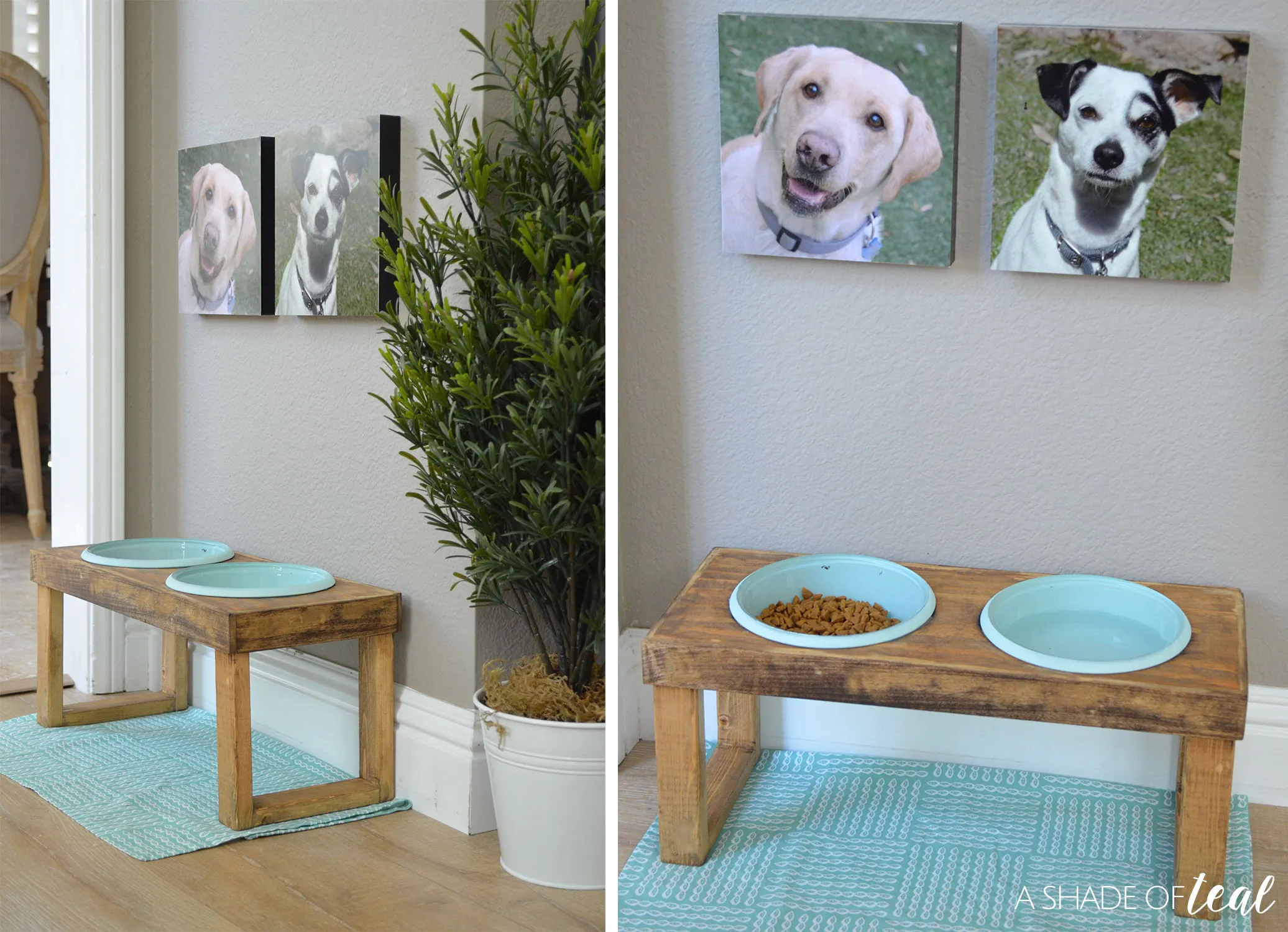Happy dog eating from a stylish custom-built raised dog feeder in a modern home setting