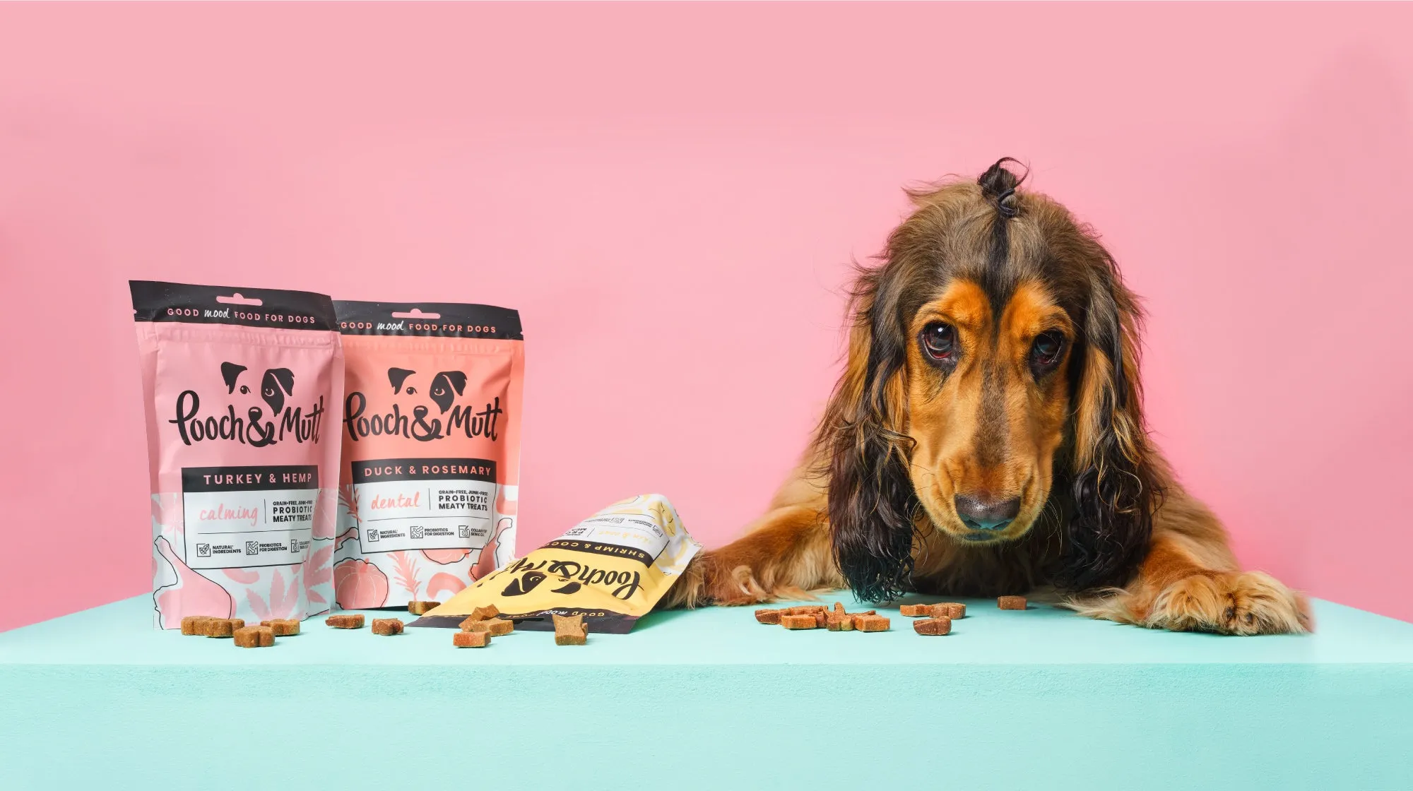 Happy dog enjoying Pooch & Mutt probiotic treats, a delicious way to support canine digestion