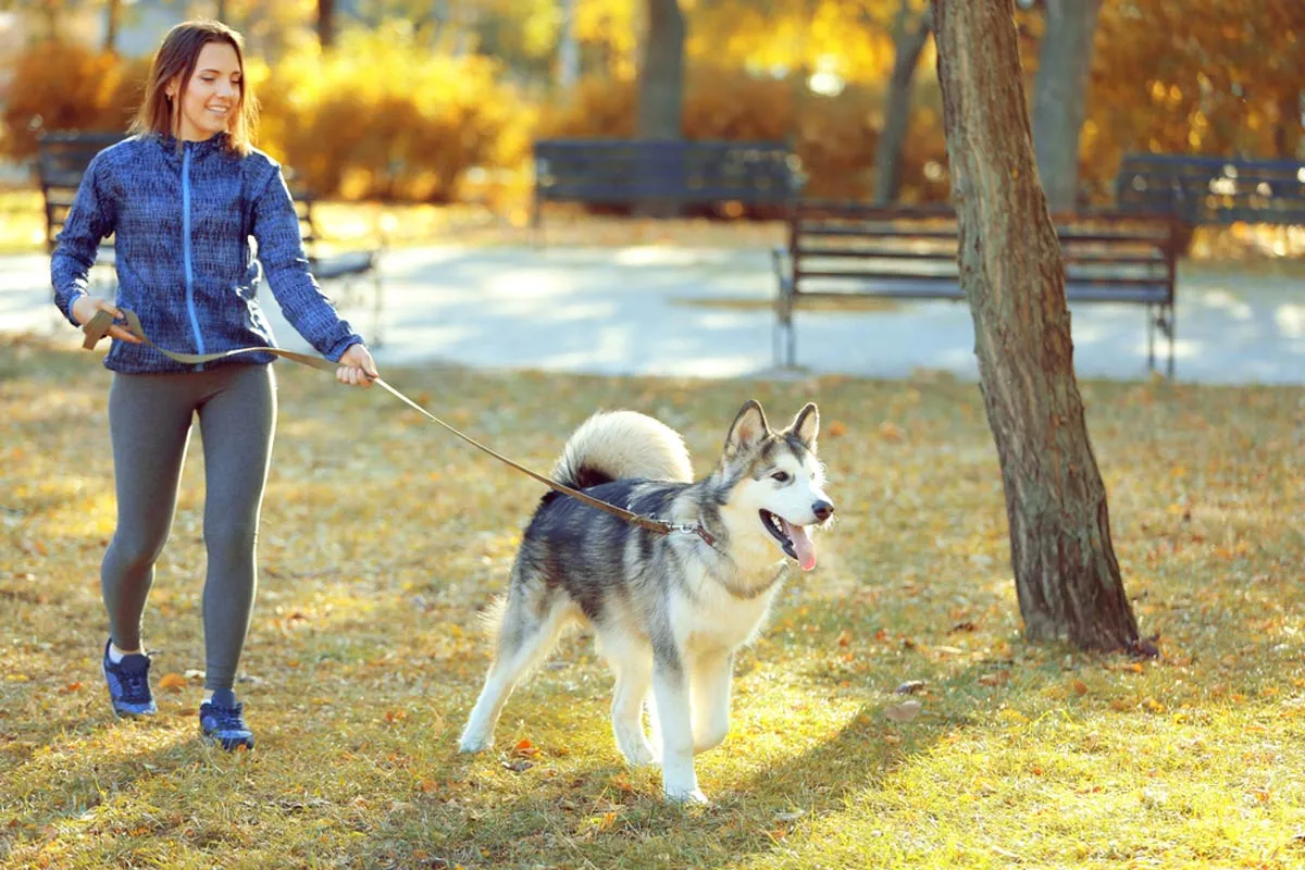 Happy young dog walker having fun at the park