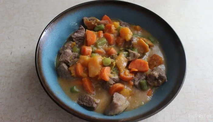 Hearty beef and pumpkin stew with rice and spinach in a dog bowl, a nourishing homemade meal