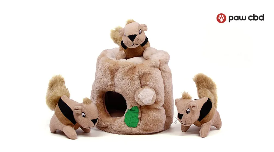 Hide and seek squirrel toy.