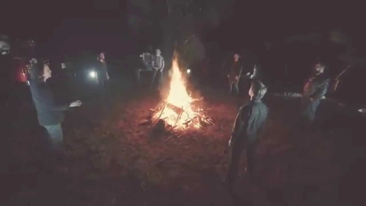 Home Free performing live