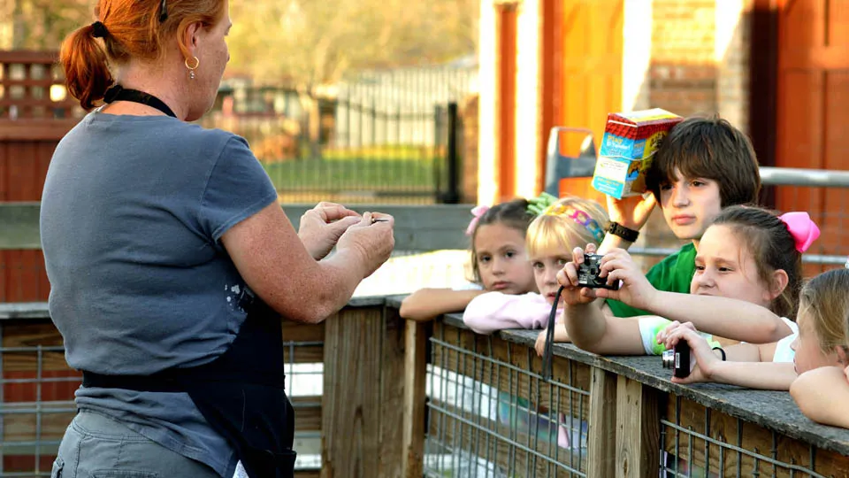 Home school programs