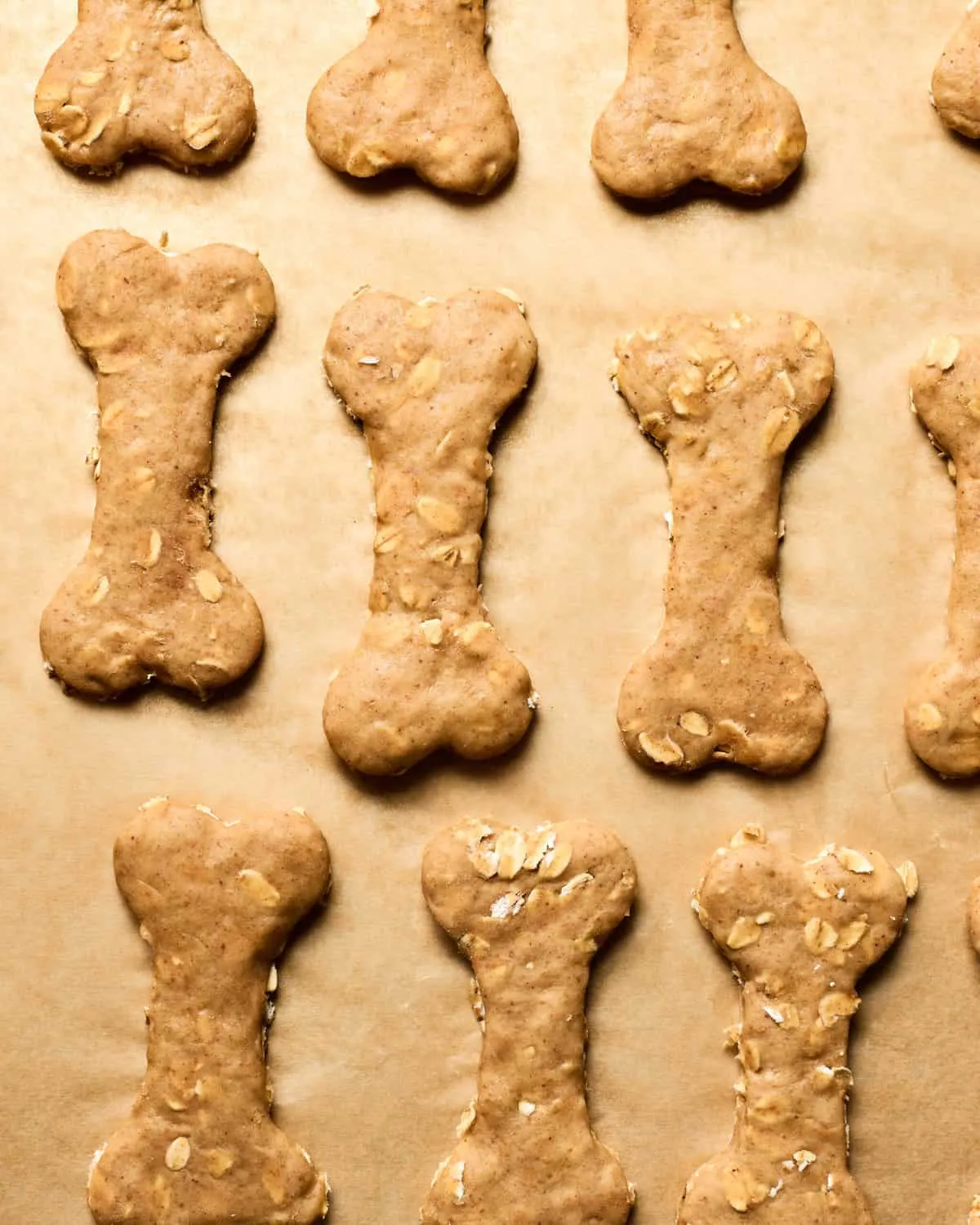 Homemade dog biscuits cooling on a wire rack.