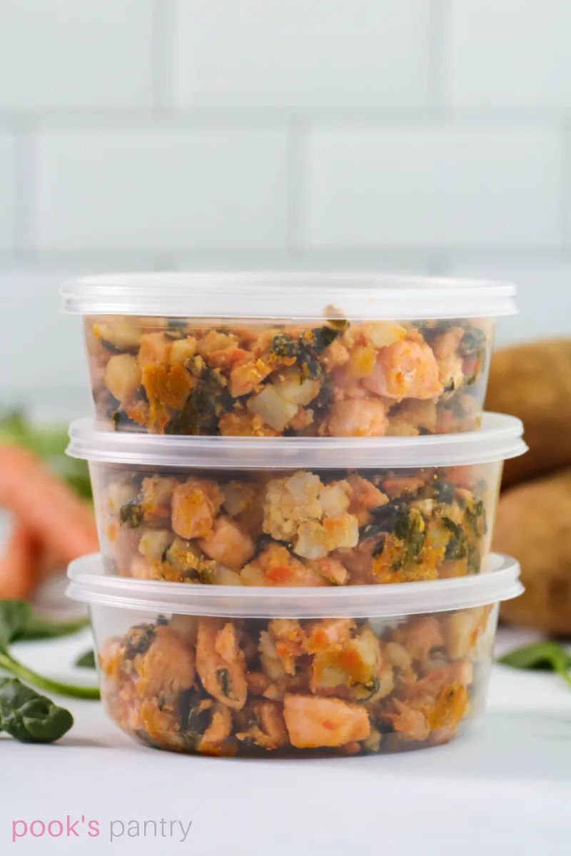 Homemade dog food portioned into storage containers.