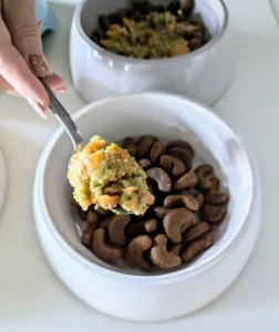 Homemade food being added to a dog's bowl with kibble and yogurt