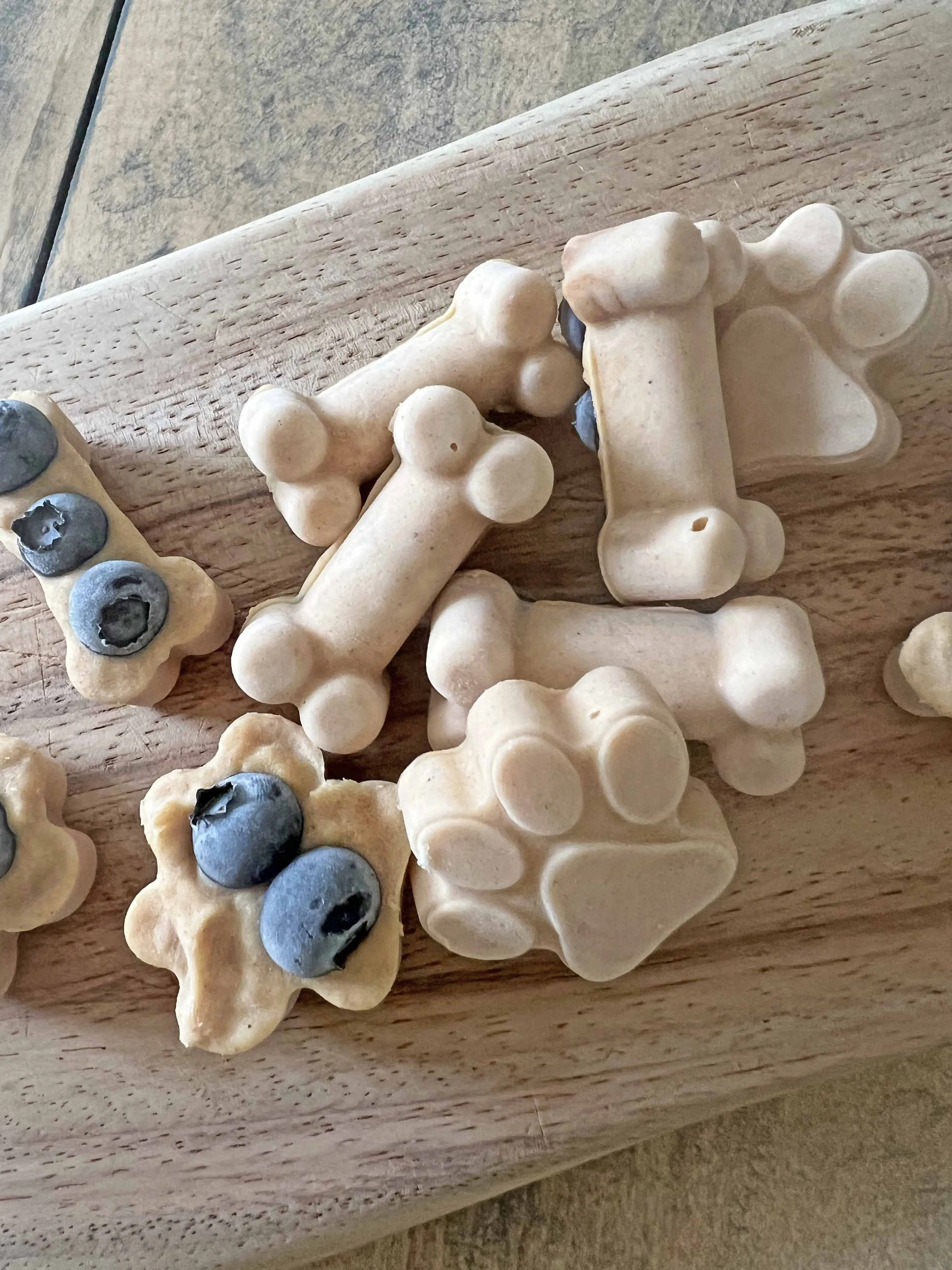 Homemade no bake dog treats with yogurt, peanut butter, and blueberries