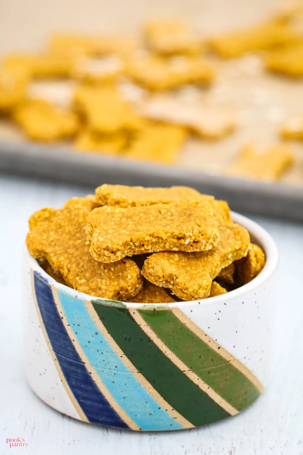 Homemade oatmeal pumpkin dog treats in a rustic bowl, perfect for a healthy, peanut butter-free snack