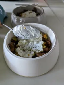 Homemade yogurt, a probiotic-rich and digestible treat, being added to a dog's meal