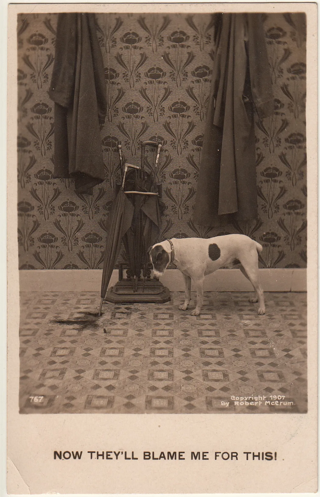Humorous postcard from 1907 showing a dog worrying about being blamed for a puddle, illustrating early perceptions of dog punishment.
