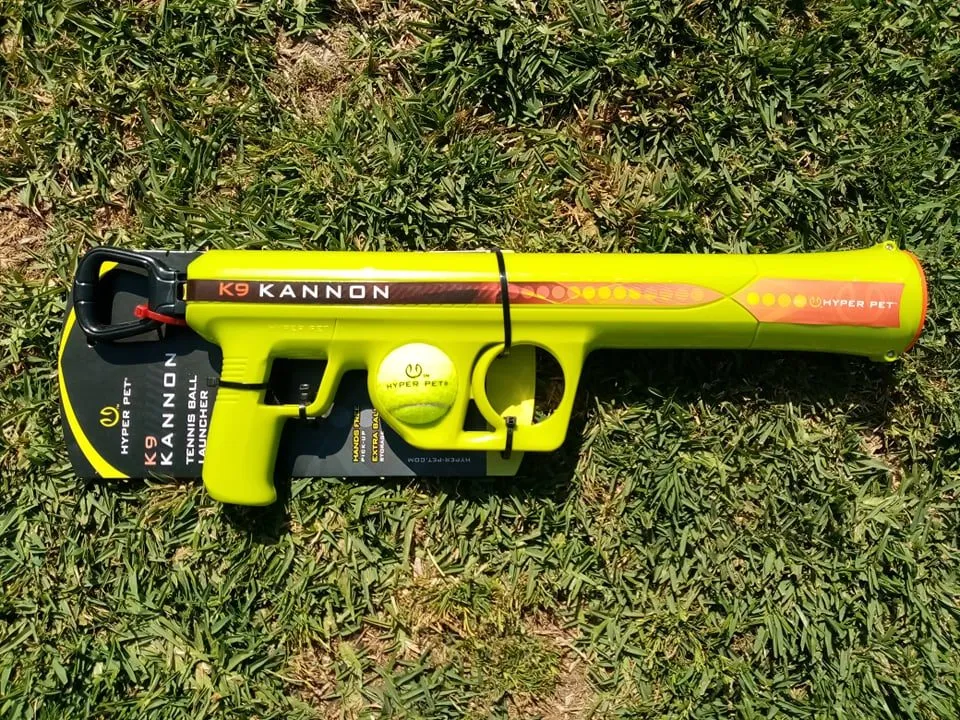 Hyper Pet K9 Kannon Dog Ball Launcher with dog looking on
