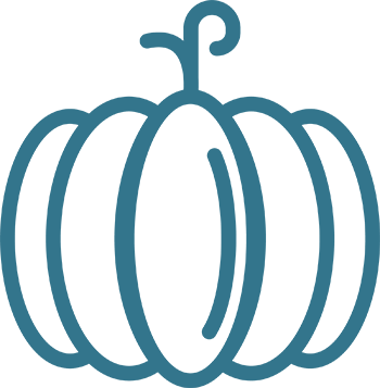 Icon of a pumpkin, a fibrous and vitamin-rich food that can aid digestion and tempt a dog that will not eat.