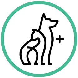 Icon representing optional add-ons for dog walker insurance policies