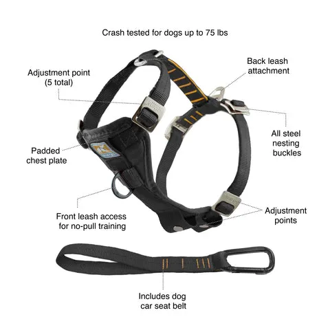 Illustration of a large dog wearing a car seat belt harness in a car