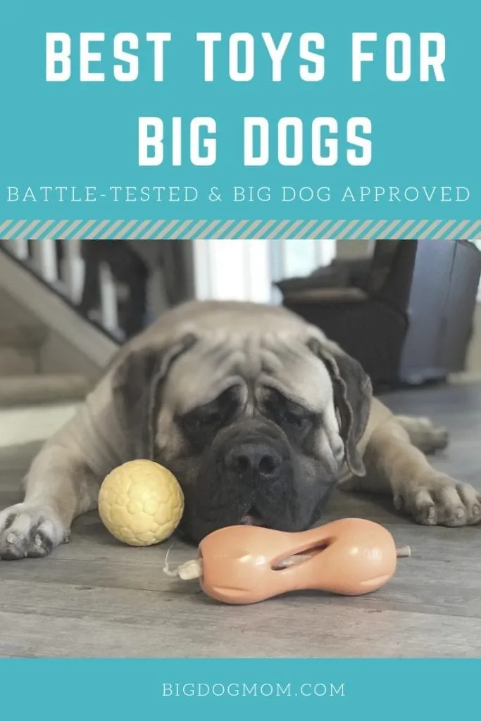 Image of a large dog playing with a durable chew toy