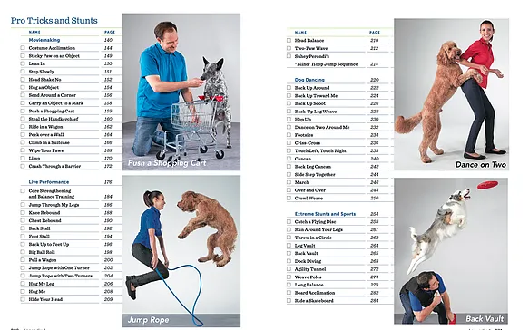 Images of dogs performing advanced stunts and tricks