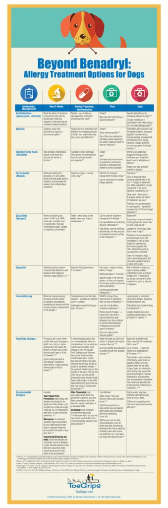 Infographic summarizing dog allergy medications