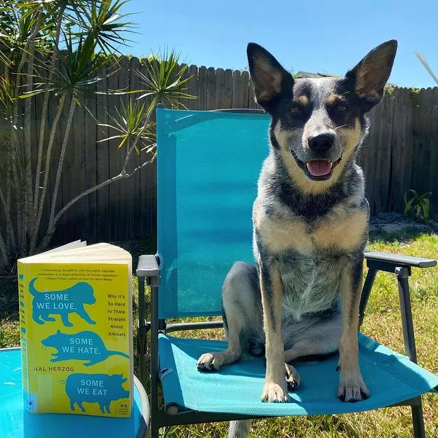 Instagram post reflecting on philosophical themes from Hal Herzog's "Some We Love, Some We Hate, Some We Eat," relevant for ethical pet owners.