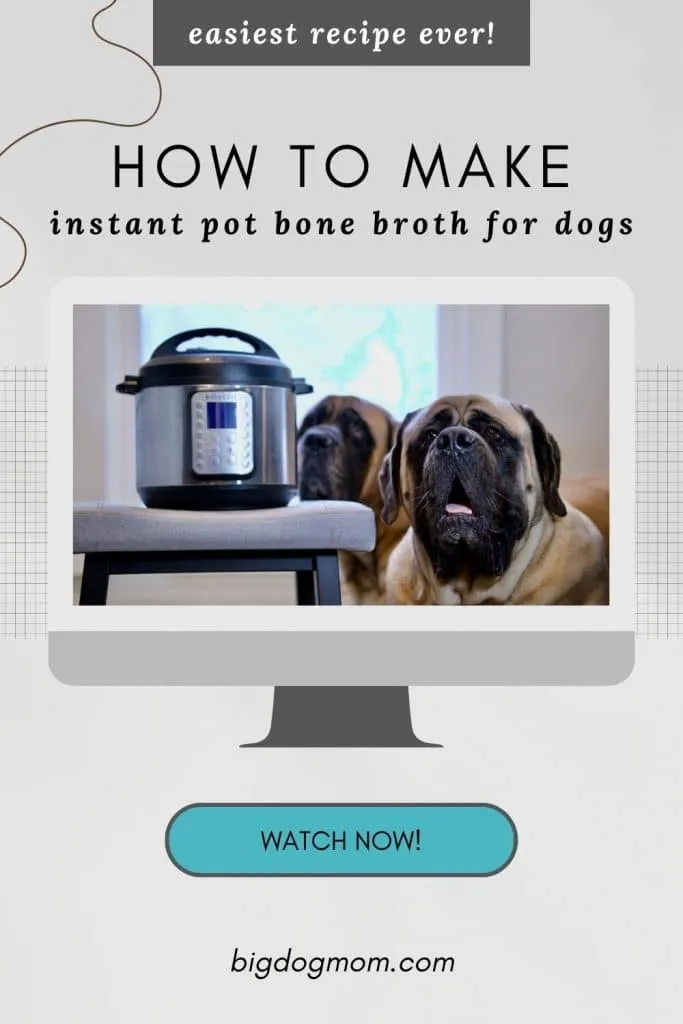 Instant Pot filled with bones and water for homemade dog bone broth.