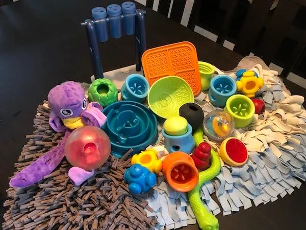 Interactive feeder collection