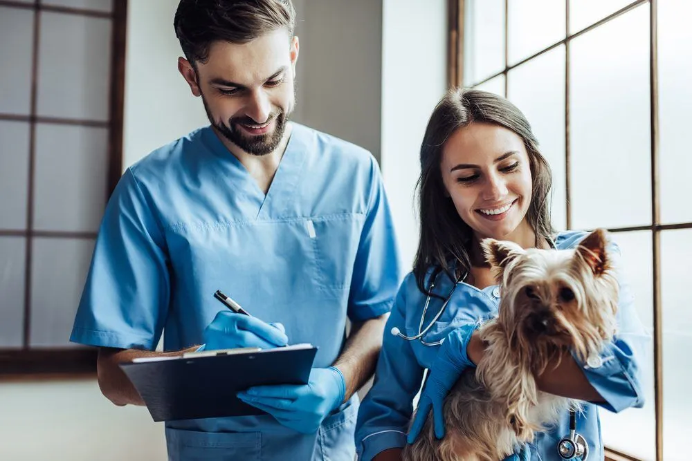 Is Salmon Oil Good for Dogs