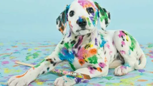 Jack Russell Terrier puppy playfully nipping at a paintbrush held by a human