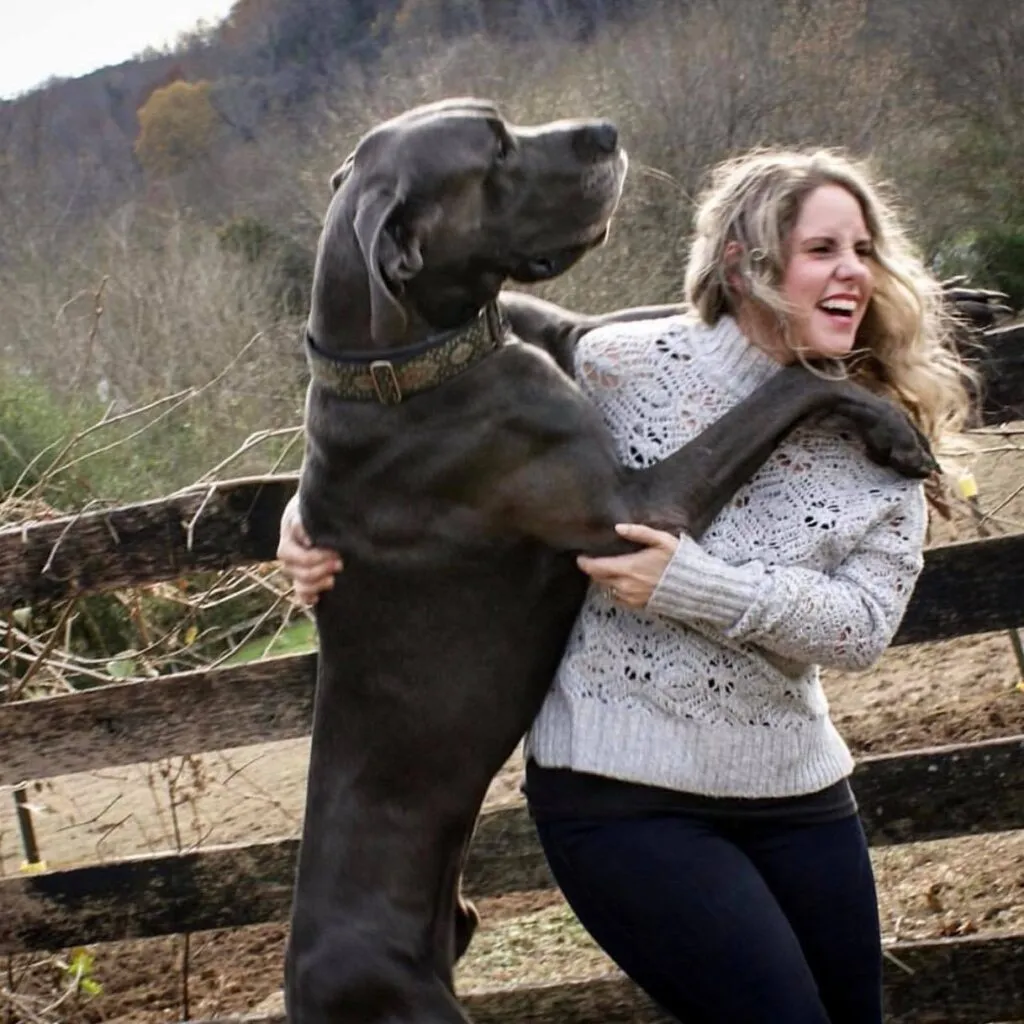 Jeffi Wutz, experienced overnight pet sitter and founder of No Worries Pet & Farm Sitting