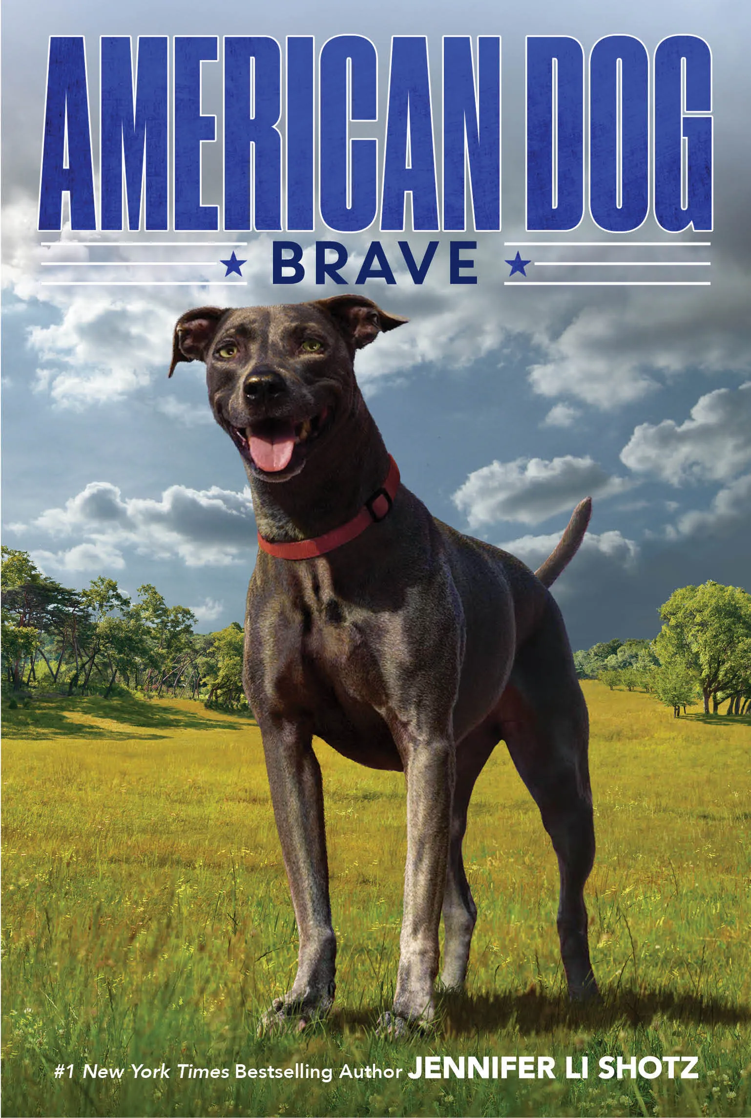 Jennifer Li Shotz's "Brave" book cover featuring a boy and a brave-looking dog, signifying courage and companionship.