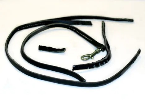 leash destroyed by an unsupervised dog