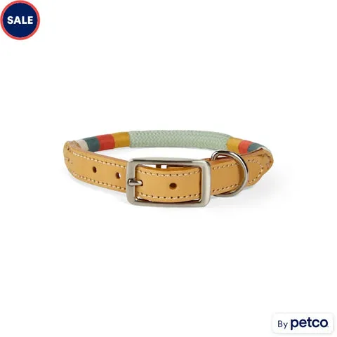 Leather and rope dog collar