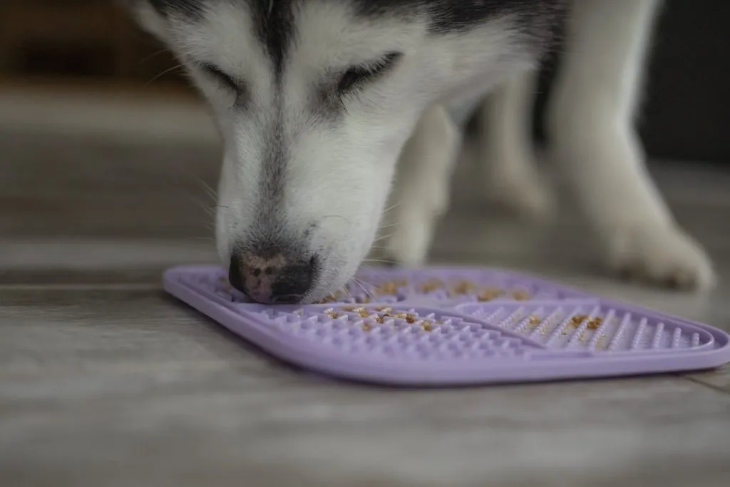 Lickimat for dogs
