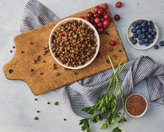 LifeSource Bits kibble mixed with regular kibble for dogs