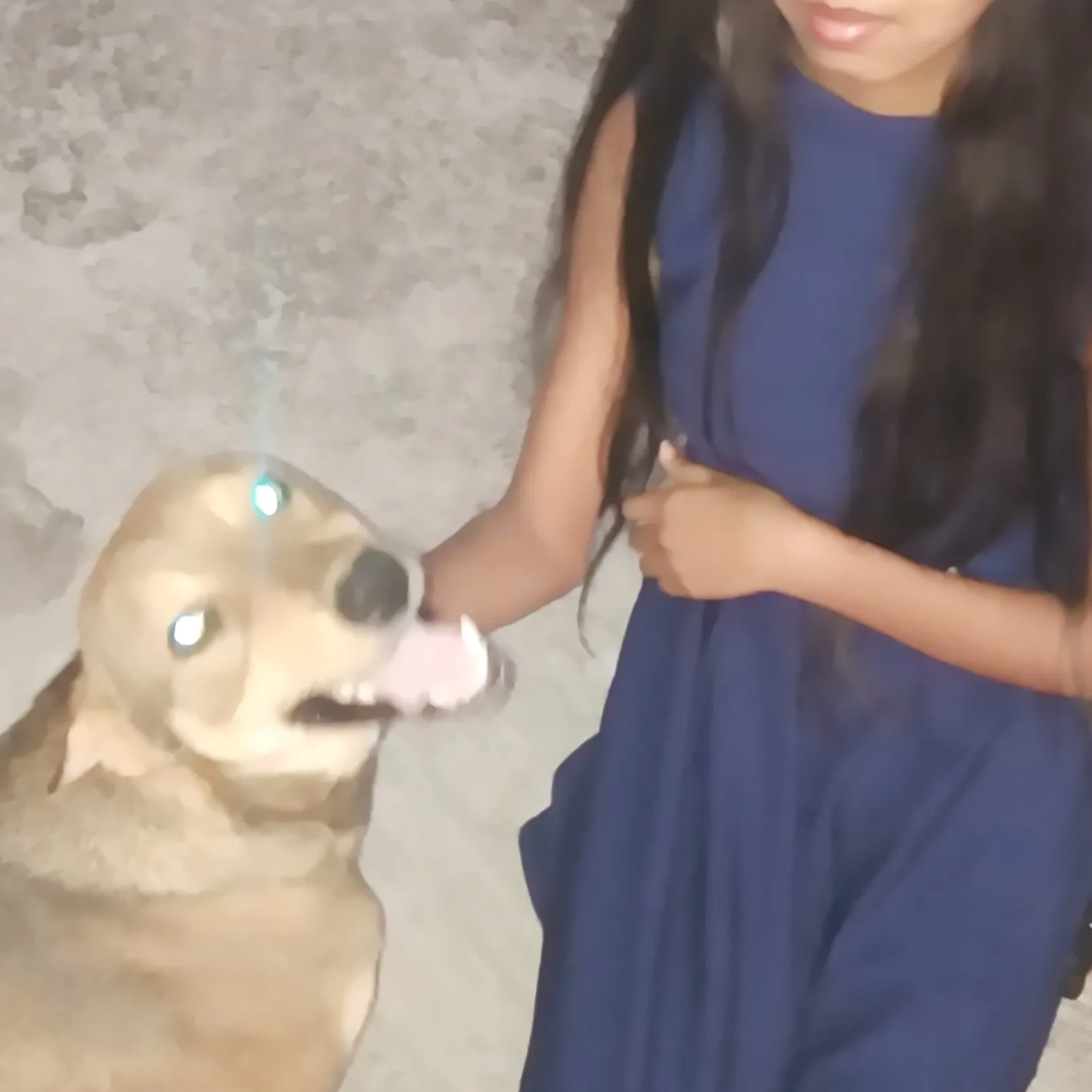 Loyal dog resting its head gently on the floor