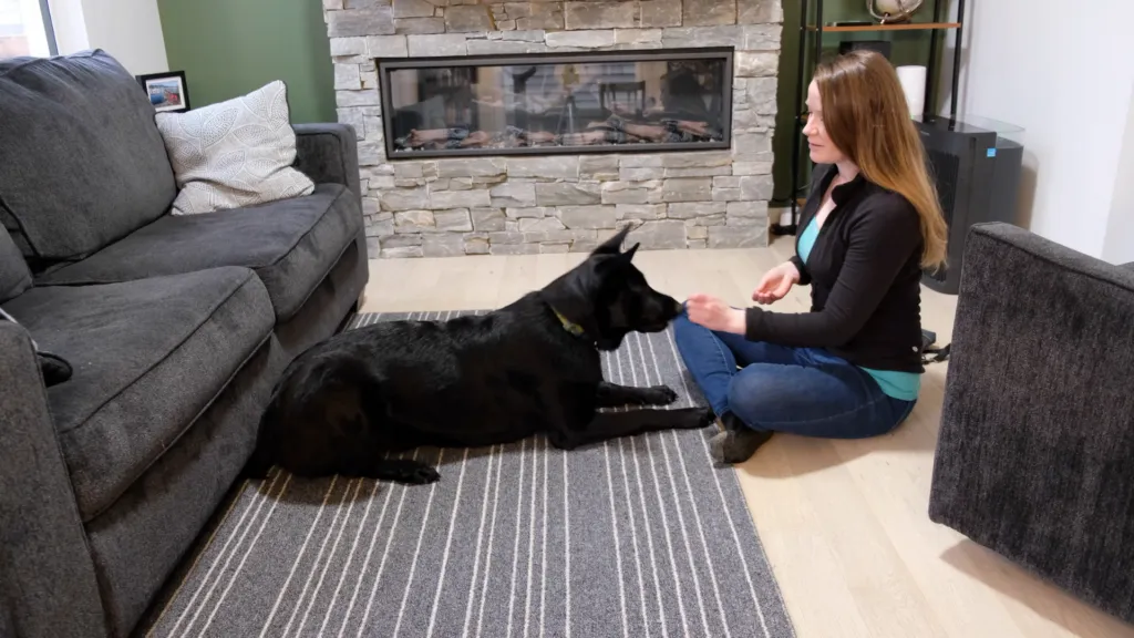Lure your dog into the play dead position with a treat