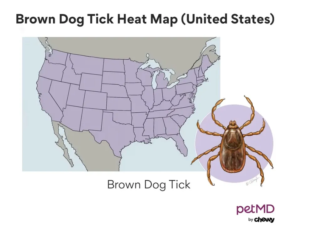 Map showing prevalence of Lyme disease in North America
